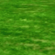 Illustration for article titled 10 Clumps Of Grass In Video Games